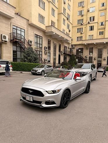 кулиса 210: Ford Mustang: 2018 г., 2.3 л, Автомат, Бензин, Кабриолет — 1