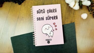 Dəftərlər: Məhsul: Tematik dəftərlər (LABUBU və Harry Potter) - Növlər: - — 12