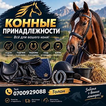 добавки: Конные принадлежности — всё для вашего коня Ассортимент: - Седла и — 1