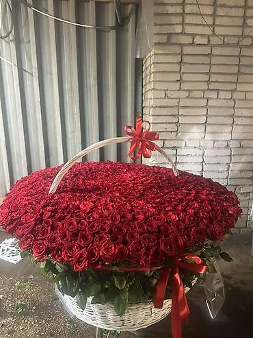 бесконечные розы: Огромная корзина из красных роз - Состав: сотни свежих красных роз — 6