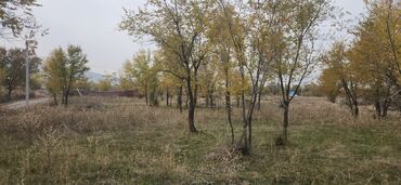 гостевой дом чолпон ата: 5 соток, Для строительства