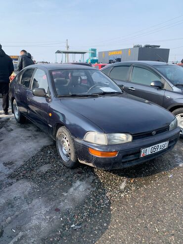 тайота привеа: Toyota Corolla: 1995 г., 1.6 л, Механика, Бензин, Хэтчбэк