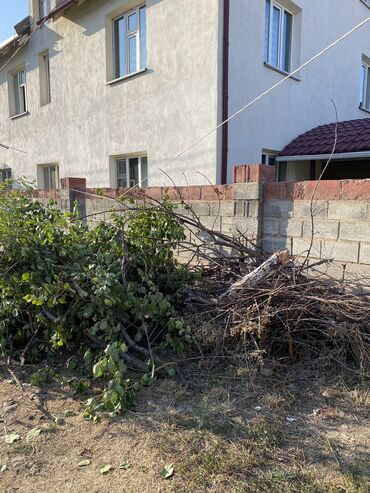 уголь пыль штып: Дрова Самовывоз