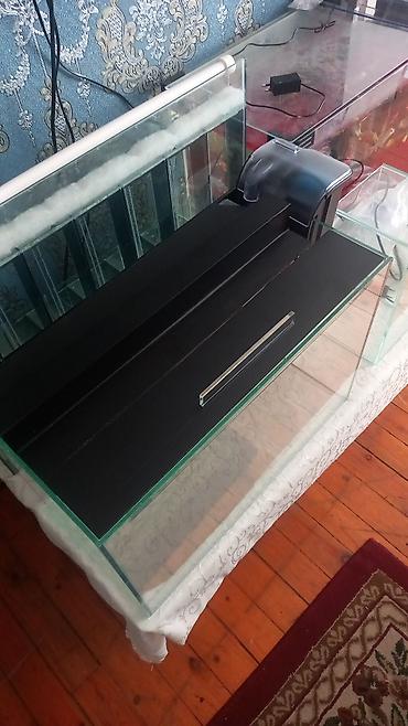 yumru akvarium satisi: Salam isdənilən ölçüdə akvarium yığıram nömrədə vhatsap var buyurun — 2