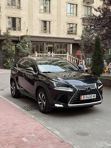 Lexus: Lexus NX: 2020 г., 2.5 л, Гибрид, Кроссовер — 3