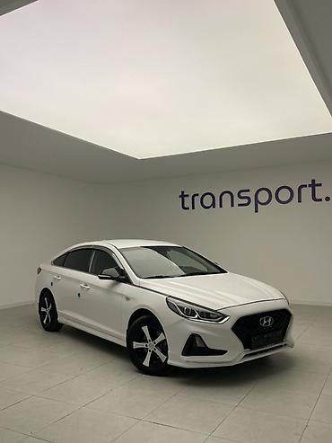 lf sonata: Hyundai Sonata: 2019 г., 2 л, Автомат, Газ, Седан — 1
