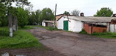 Кыймылсыз мүлк: Мүйүздүү бодо мал фермасы, 75 соток, Канализация, Скважина — 6