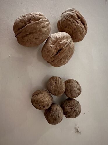 сухофрукты в ассортименте: Продам орехи грецкие