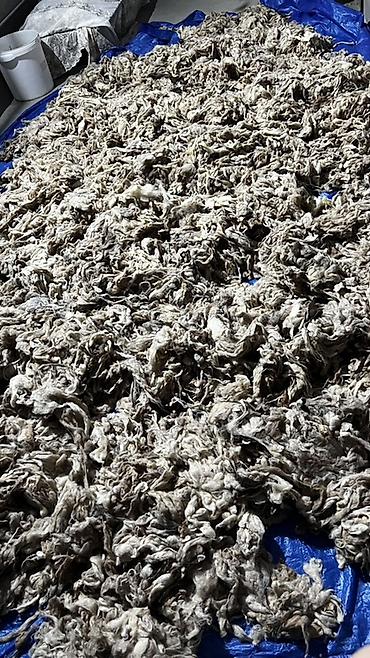 deve yünü yorgan: Tebii qoyun yunu taxt ucun 10 kq cox ucuza satiram — 1