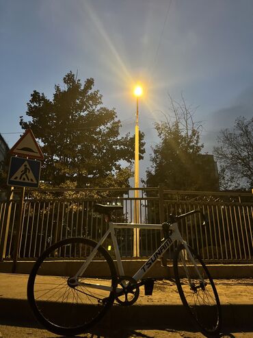 фикс велосипед tsunami: Городской велосипед, Tsunami, Рама L (172 - 185 см), Б/у