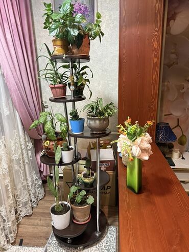 манежки детские: Гүлдөр үчүн секичелүү текче, ЛДСП, Өзү алып кетүү