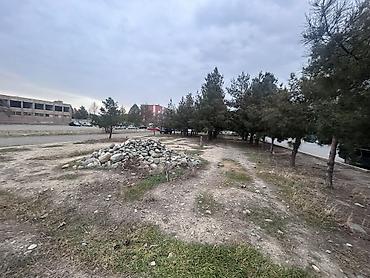 quba obyekt: 5 sot, Tikinti, Barter mümkündür, Kupça (Çıxarış) — 5