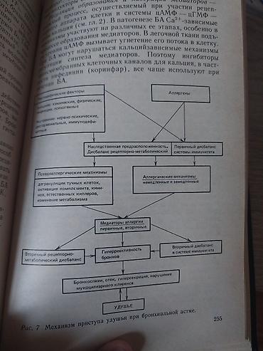 Kitablar və jurnallar: Книга:клиническая аллергология kitab 510 səhifədən ibarətdir içində — 6