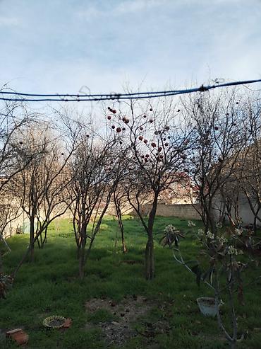 Həyət evləri və villalar: 7 otaqlı, 220 kv. m, Kredit yoxdur, Orta təmir — 6