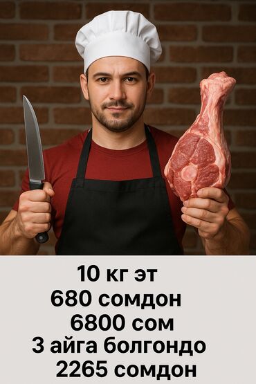 купить корм для перепелов несушек: ✔️ САПАТТУУ ЭТТЕР — ТҮЗ КАСАПЧЫДАН! Уй, жылкы, кой эттери бар! ✅ Жаңы