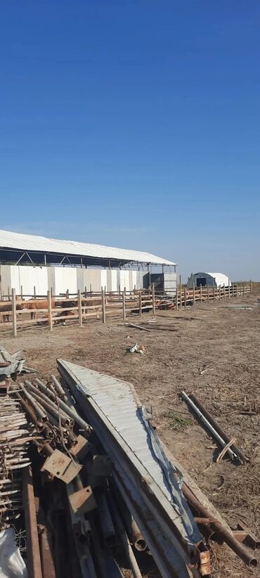 Torpaq sahələrinin satışı: 700 sot, Biznes üçün, Mülkiyyətçi, Kupça (Çıxarış), Texniki pasport