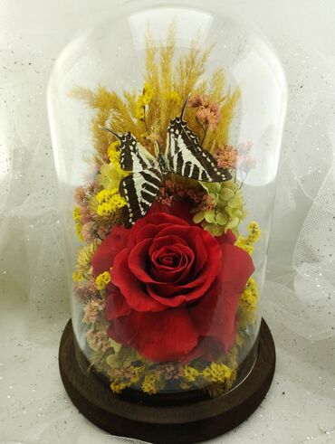подарки на новый год в бишкеке: Живые розы которые не завянут даже через год!!! Цветы для вашего дома
