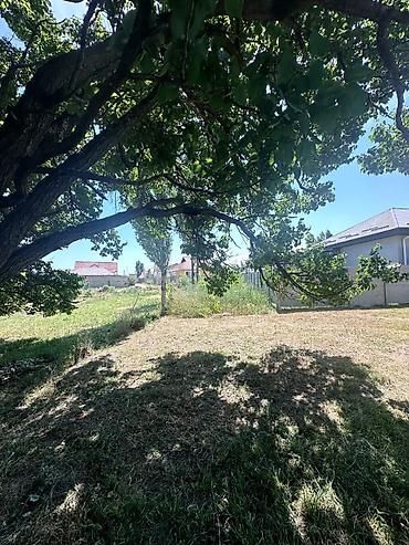 нижняя аларча: 5 соток — 3