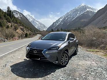 лексус кроссовер: Lexus NX: 2016 г., Автомат, Кроссовер — 1
