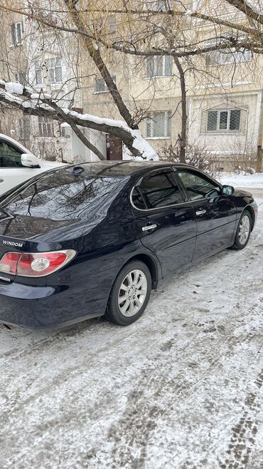 таота авенсиз: Toyota Windom: 2003 г., 3 л, Автомат, Бензин, Седан