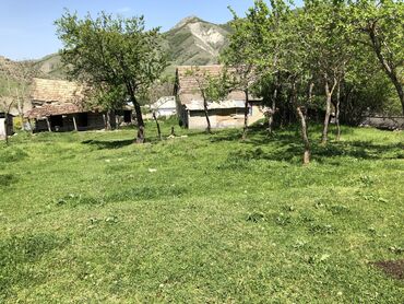 Torpaq sahələrinin satışı: 30 sot, Kənd təsərrüfatı, Mülkiyyətçi, Kupça (Çıxarış) -da lalafo.az — 12 Torpaq sahələrinin satışı: 30 sot, Kənd təsərrüfatı, Mülkiyyətçi, Kupça (Çıxarış) — 12