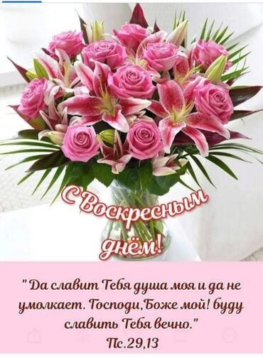 пластик идиштер: Ищу работу на посуда мойку и техничка 1500 + еждневную оплатой