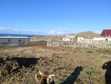 Продажа участков: 15 соток, Красная книга, Договор купли-продажи, Тех паспорт at lalafo.kg — 14 Продажа участков: 15 соток, Красная книга, Договор купли-продажи, Тех паспорт — 14