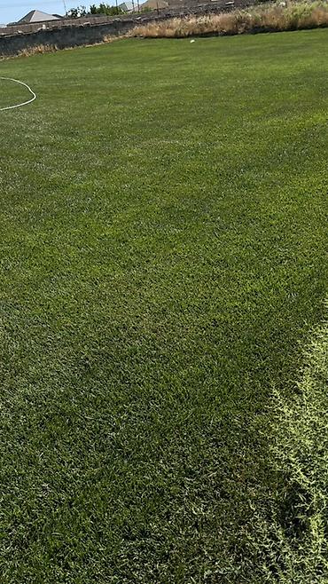 landşaft dizayn: Qazon örtüyü və landşaft yaşıllaşdırma xidməti - Həyət, bağ, park və — 3
