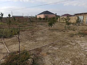 salyan ev: 2 otaqlı, 77 kv. m, Kredit yoxdur, Orta təmir — 4
