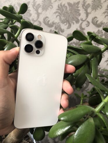 телефоны игровые: IPhone 12 Pro, Б/у, 256 ГБ, White Titanium, Чехол, 84 %