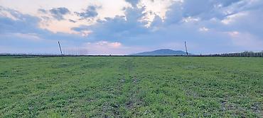 Torpaq sahələrinin satışı: 200 sot, Kənd təsərrüfatı — 6