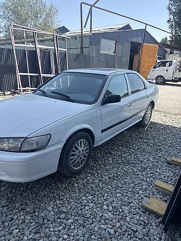 Унаа сатуу: Toyota Camry: 1999 г., 2 л, Автомат, Бензин, Седан — 1