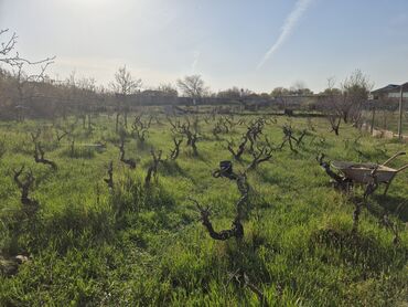 Həyət evləri və villaların satışı: 3 otaqlı, 170 kv. m, Orta təmir — 29