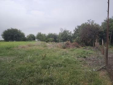 bakıda: Salam Agdamin Cemenli kendinde 1 hektara yaxin heyeti olan heyet — 6
