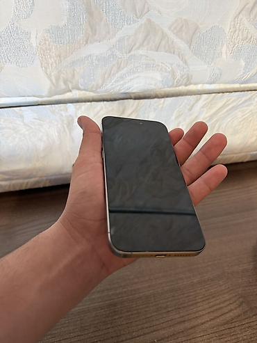 iphone 2: IPhone 15 Pro Max, 256 GB, Gümüşü, Face ID — 3