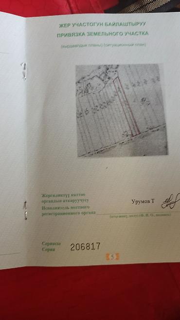 алтын казык ж м: 203 соток, Для сельского хозяйства, Договор купли-продажи — 3