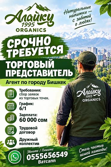 Торговый представитель (агент по г. Бишкек) — Alaiку 1995 Organics О