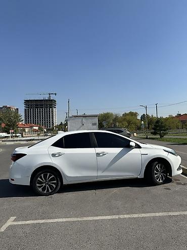 Toyota: Toyota Corolla: 2019 г., 1.8 л, Вариатор, Гибрид, Седан — 6
