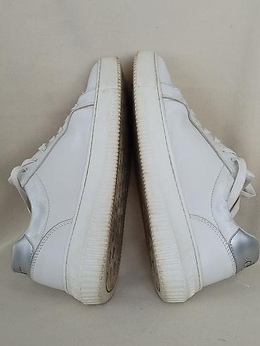 armani cipele: Calvin Klein original patike u broju 40, duzina unutrasnjeg gazista — 6