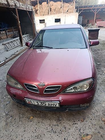 235 65: Nissan Primera: 2002 г., Бензин, Седан — 2