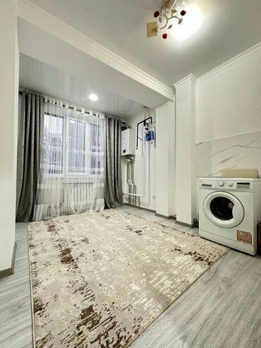 баят рынок квартира: 1 комната, 29 м², Элитка, 1 этаж, Евроремонт