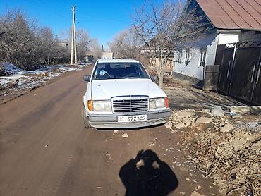 Mercedes-Benz: Mercedes-Benz W124: 1988 г., 3 л, Механика, Дизель, Седан — 12