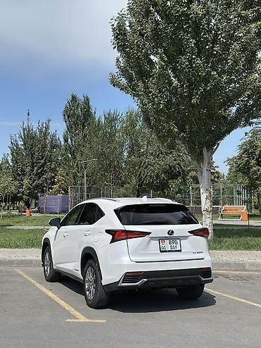 zimmer e9 pro: Lexus NX: 2020 г., 2.5 л, Вариатор, Гибрид, Кроссовер — 2