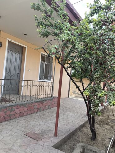 Həyət evləri və villaların satışı: Pirşağı qəs. 2 otaqlı, 90 kv. m, Yeni təmirli — 4