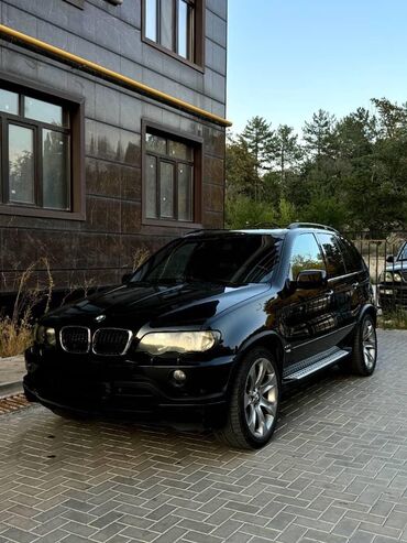 х5 бнв: BMW X5: 2003 г., 4.6 л, Автомат, Бензин, Кроссовер