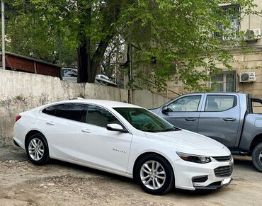 Chevrolet: Chevrolet Malibu: 1.5 l | 2017 il 16200 km Sedan — 7
