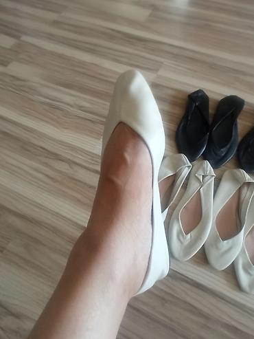 ликвидация: Сапоги, 36, Zara, Новый — 1
