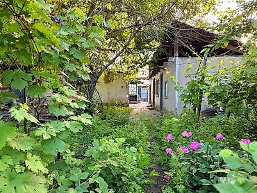 дача наука: 🏡 Продаётся: участок с домом ж/м Маевка!!! 🏠 Дом:старый под — 1