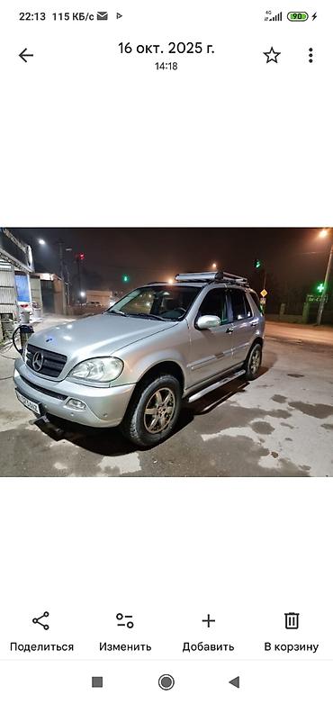 Mercedes-Benz: Mercedes-Benz M-Class: 2003 г., 4 л, Автомат, Дизель, Внедорожник — 10