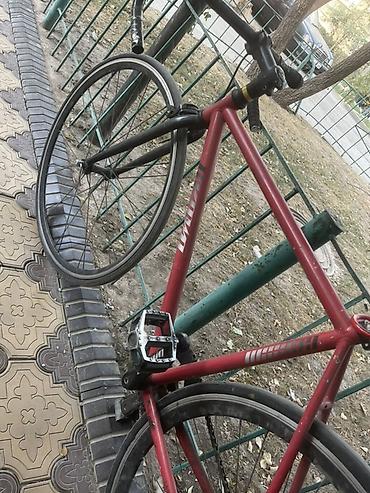 fix gear: Городской велосипед, Рама L (172 - 185 см), Б/у — 3
